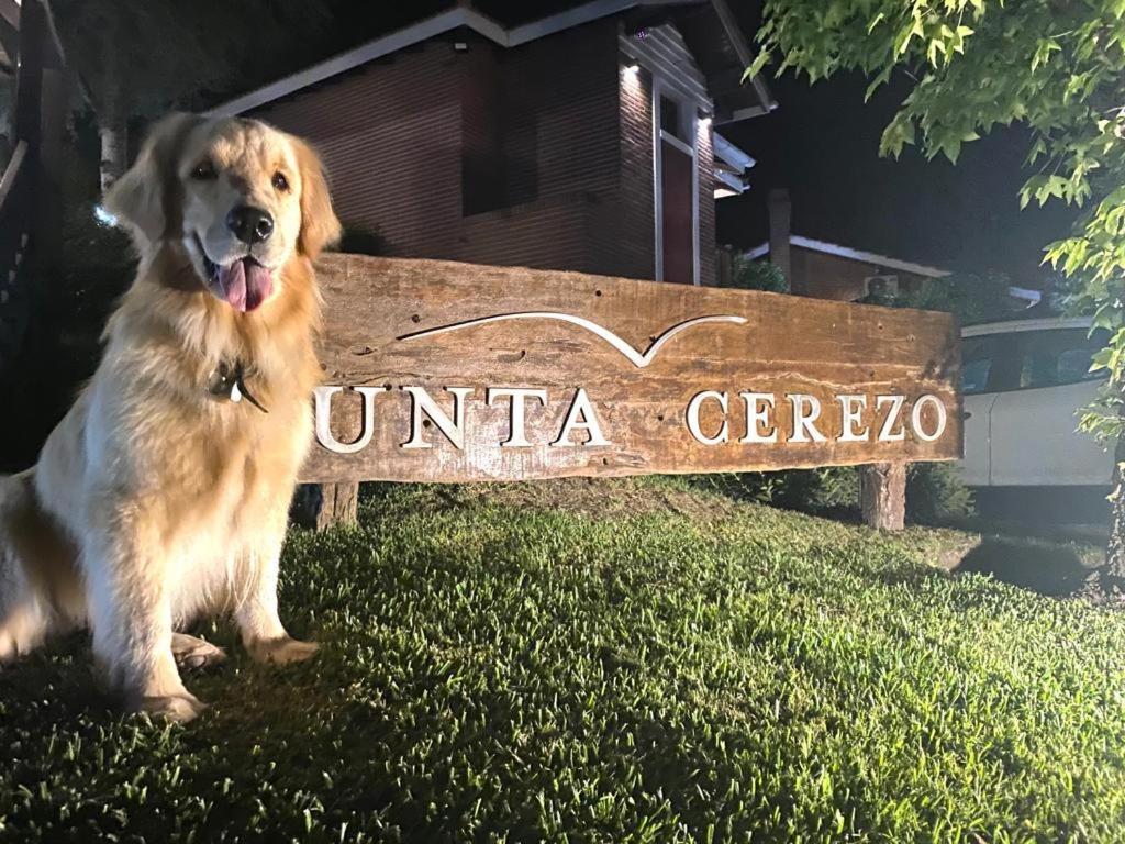 Punta Cerezo Apart Carilo Eksteriør bilde
